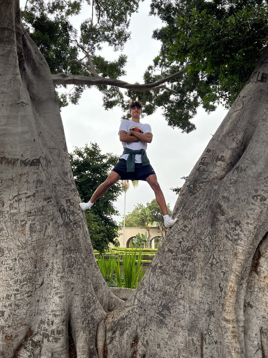 CP Cavs Hoops tweet media