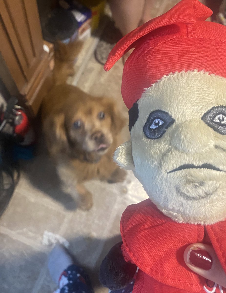 LEATH3RMTHWHXRE's tweet photo. he thinks it’s a dog toy https://t.co/7kNrzM912Z