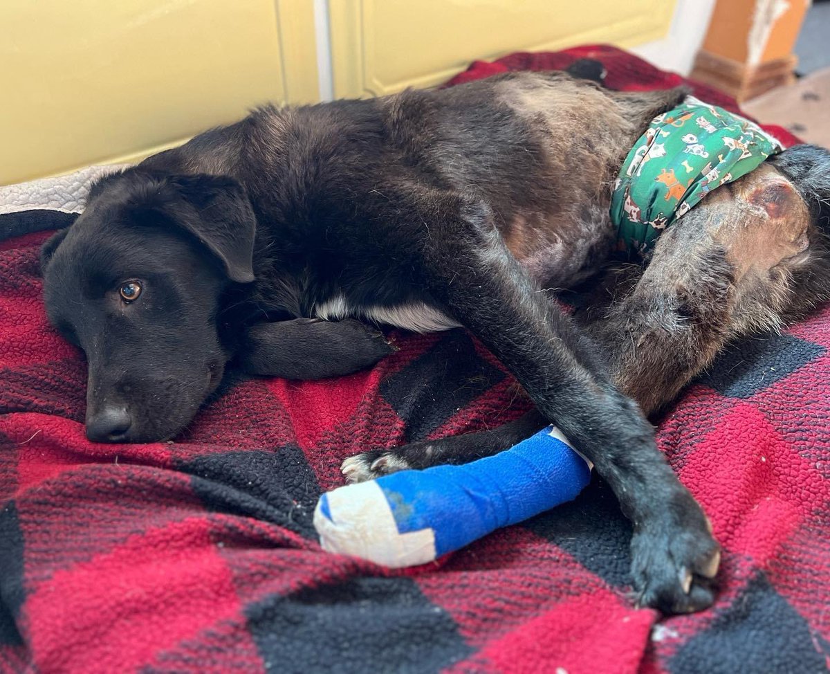 Melissa Hunt tweet media