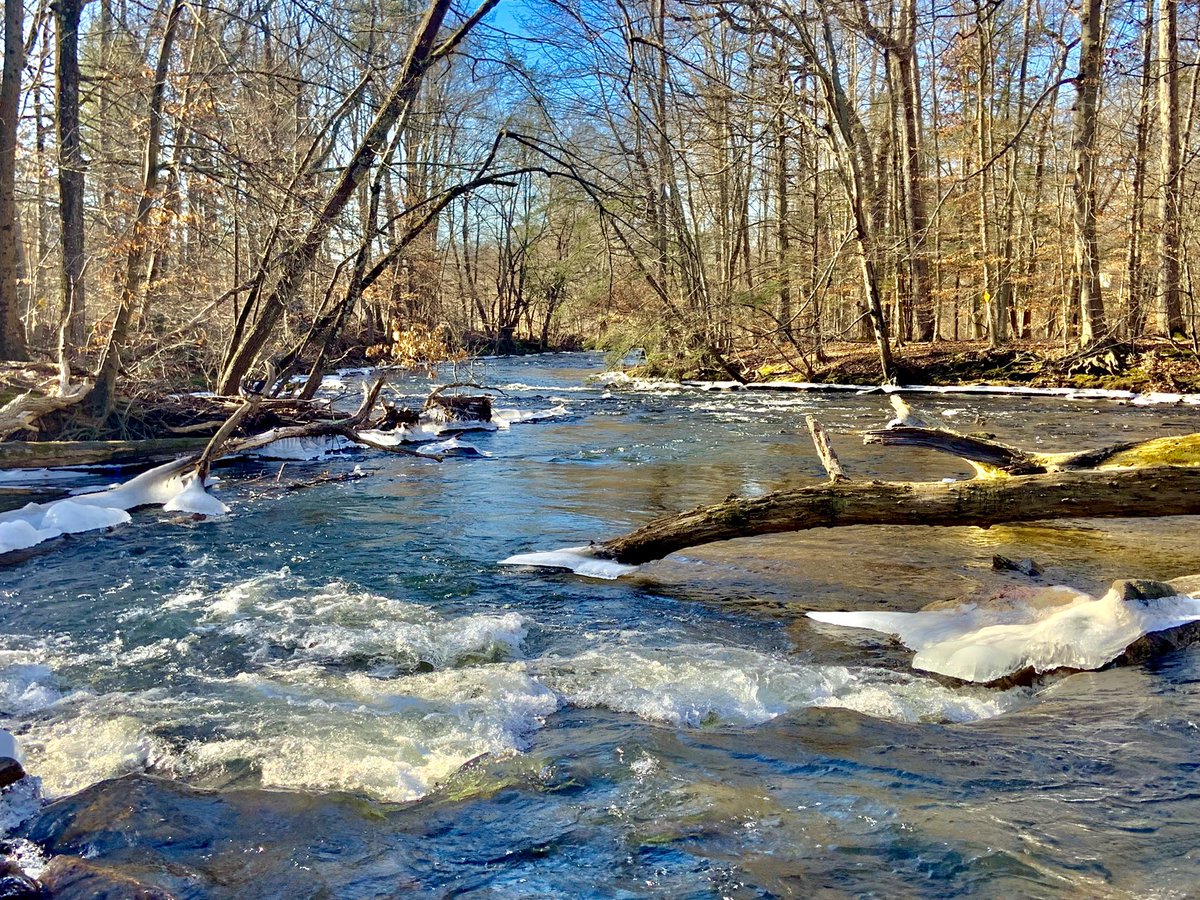 A Perfect Winter Day.            #river #Riverside #water #ICYSNOW #trees #NaturePhotography #naturelovers #nature #photo #photo #YearEnder2022 #December #outdooradventure #adventures #weekendvibes #FridayFeeling