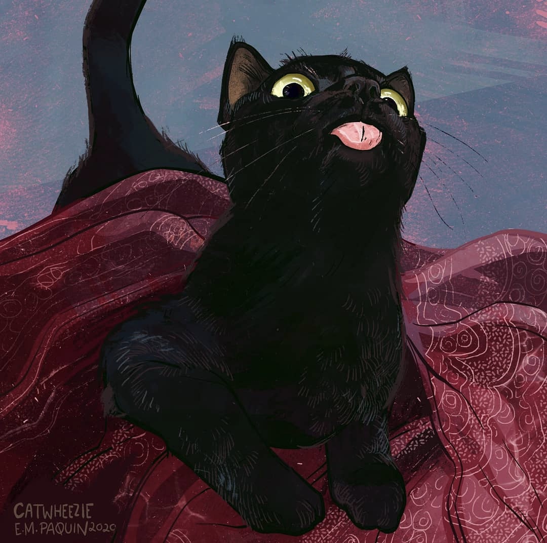 catwheezie's tweet photo. Seal or cat? You decide! https://t.co/NkP31ra6k6