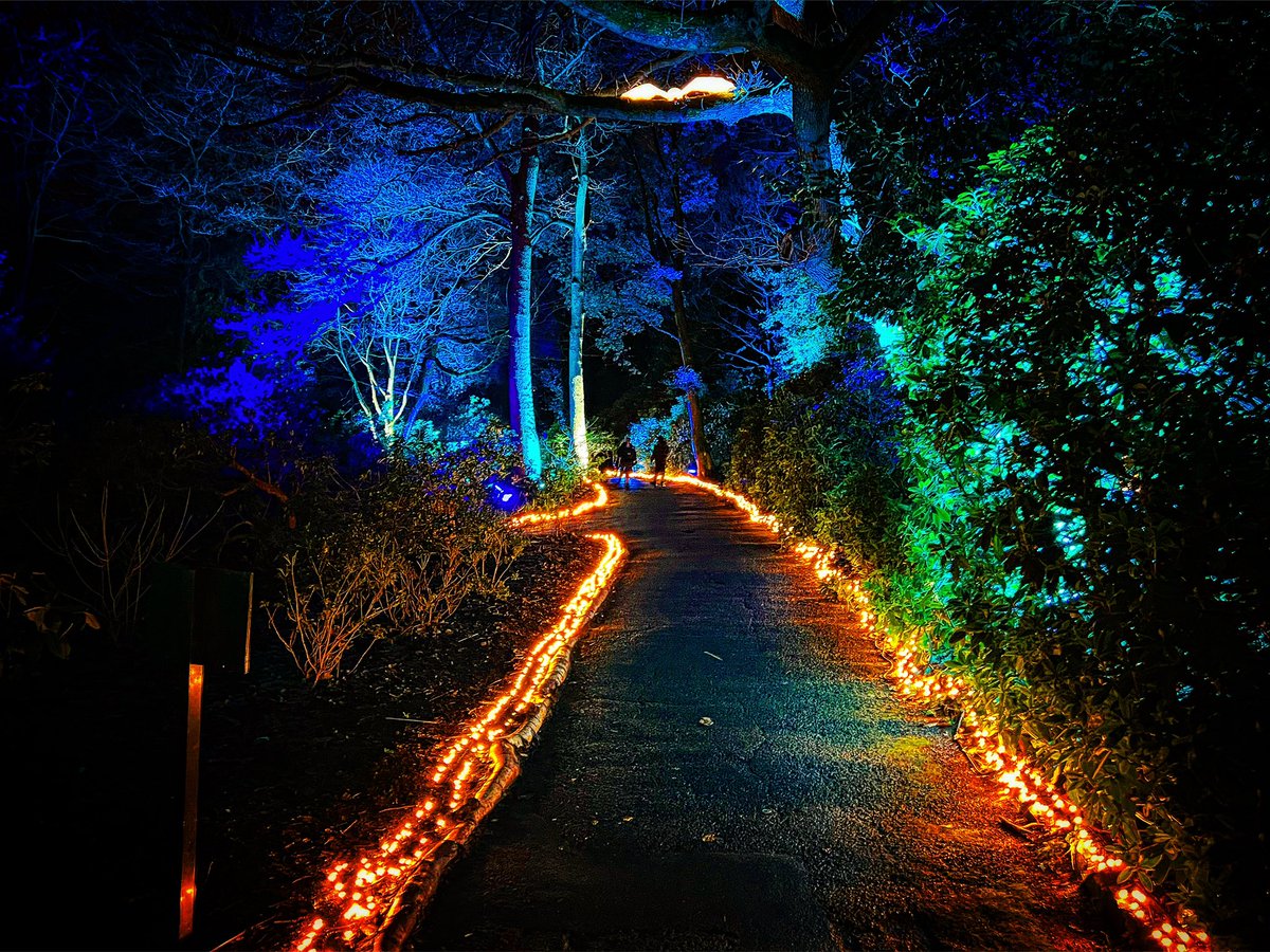 Kierbro's tweet photo. #christmas @EHKenwood #Hampstead #London @FeverPR #London #lights #coloursoftheworld #festive https://t.co/km9WWaeGBe
