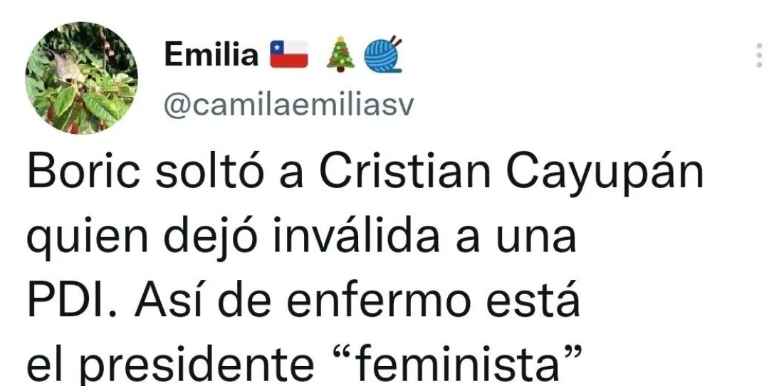 bernardoalexi13's tweet photo. @christhianzens1 @CNNChile https://t.co/79O8jAgBXT