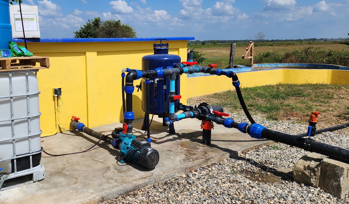 𝙁𝙍𝙀𝘾𝙐𝙀𝙉𝘾𝙄𝘼 𝙀𝙉 𝙀𝙇 𝙍𝙄𝙀𝙂𝙊 𝙋𝙊𝙍 𝙂𝙊𝙏𝙀𝙊 𝘿𝙀𝙇 𝙈𝘼𝙄𝙕 💧🌽
Al Riego por Goteo también lo podemos llamar Riego de Precisión por ser el más eficiente en el uso del agua, gota a gota se va dosificando la cantidad que...

Sigue en: instagram.com/reel/CmzyNVKK-…