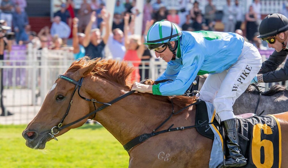 RacingWATV's tweet photo. The young (Alsephina) and the old (Trap For Fools) for Grant & Alana Williams on Perth Cup day. https://t.co/8yPxCJxAhk @santassnippets @WesternRacepix @TAB_touch @PerthRacing #ascpt #perthcup https://t.co/E1Qes93p9u