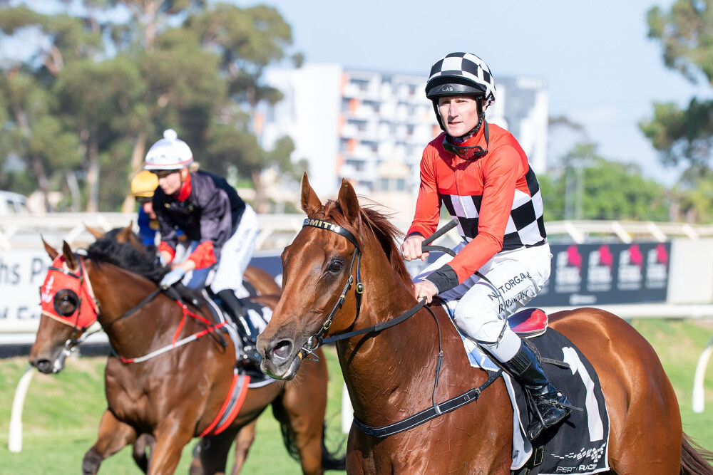 RacingWATV's tweet photo. The young (Alsephina) and the old (Trap For Fools) for Grant & Alana Williams on Perth Cup day. https://t.co/8yPxCJxAhk @santassnippets @WesternRacepix @TAB_touch @PerthRacing #ascpt #perthcup https://t.co/E1Qes93p9u
