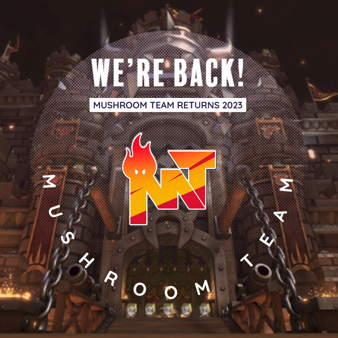 Mushroom Team tweet media