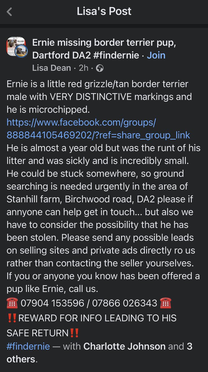 🚨🚨🚨🚨🚨🚨🚨🚨🚨🚨