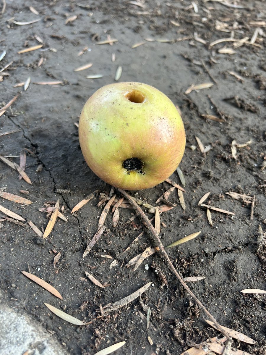 710 Labs tweet media