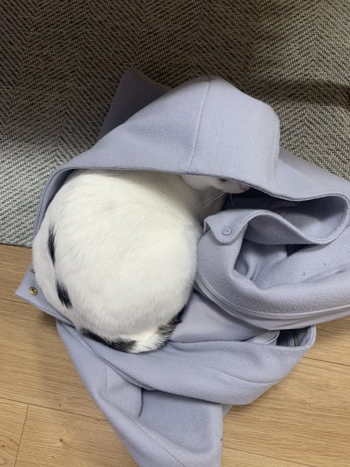 Twitterのコスプレ画像45