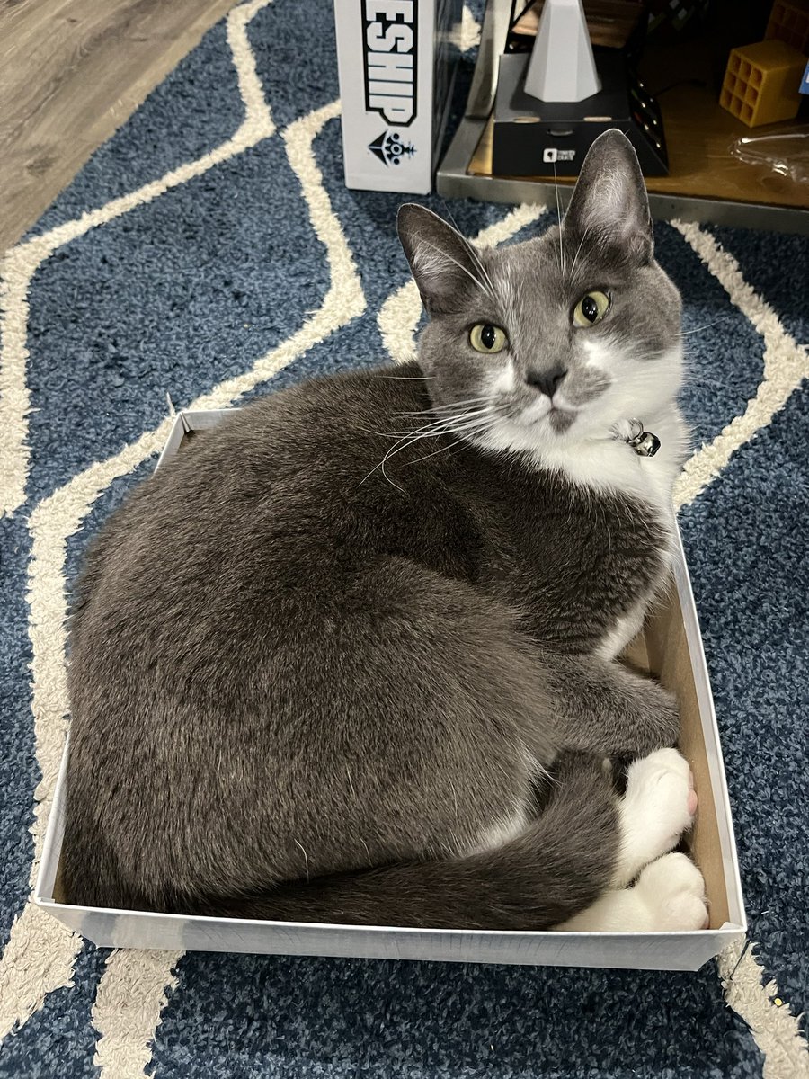 BurtyButt's tweet image. Caught a cat