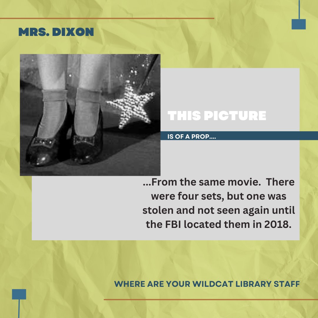 MVLibrary tweet media