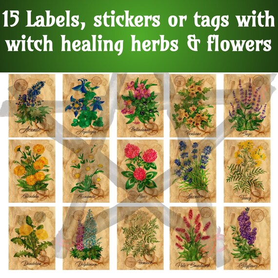 AleenaWicca's tweet photo. 30 Wicca Vintage Apothecary Labels, Kitchen https://t.co/1nHf0s7YAg #magicherbs #magicalwitchcraft #herbjarlabels #kitchenlabels @etsymktgtool https://t.co/JEsqlaTFJY