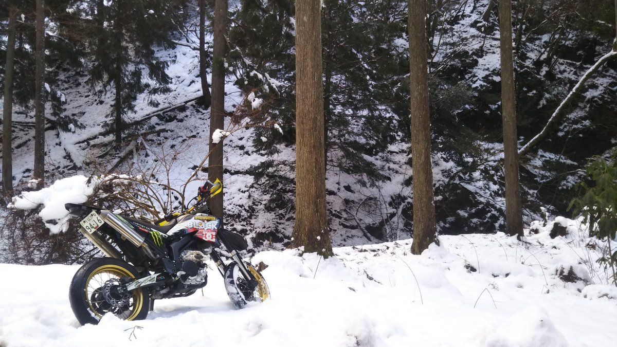 じん@なにわのオヤジ🏍人馬一体✨ tweet media