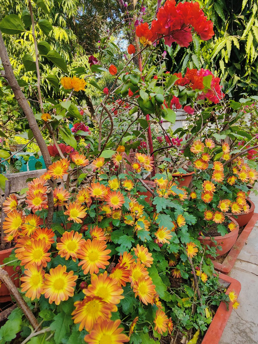 उम्मीद वाली धूप,sunshine वाली आशा 
रोने की वजह कम है, हंसने के बहाने ज्यादा 

जिद्द है मुस्कुराएंगे 
खुश रहने का है वादा 

तुम दिल से अगर पूछोगे 
वो खुश रहना ही चाहे 
जब सचे मन से मांगो 
तो खुल जाती है राहें 
तो खुल के खुशी लुटाओ, ये क्या है आधा -आधा 

 Fave yr end #CokeSong