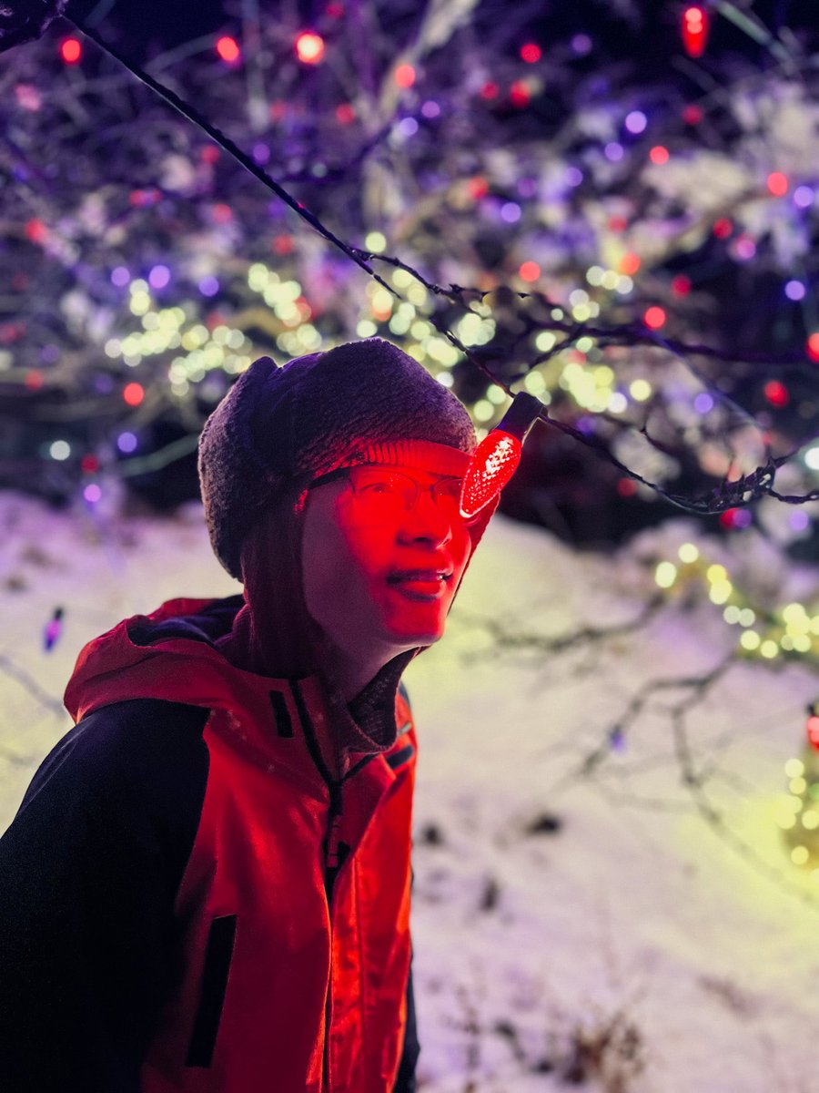 FChoi's tweet photo. Obligatory Botanic Garden Christmas light bokeh shot https://t.co/XwGCWANPJr