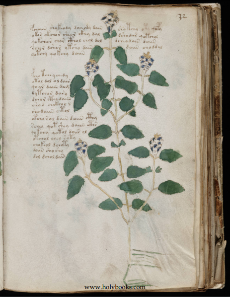 memes_atbp's tweet photo. 1: The Voynich Manuscript (early 15th century, unknown script &amp; author).

2: Rongorongo (writing/proto-writing from Easter Island, still undeciphered).

3: For something recent, the Liber Primus (April 2018, about Cicada 3301).

Voynich Manuscript PDF: https://t.co/CkJvjhGIub https://t.co/iYH0S2O6c0