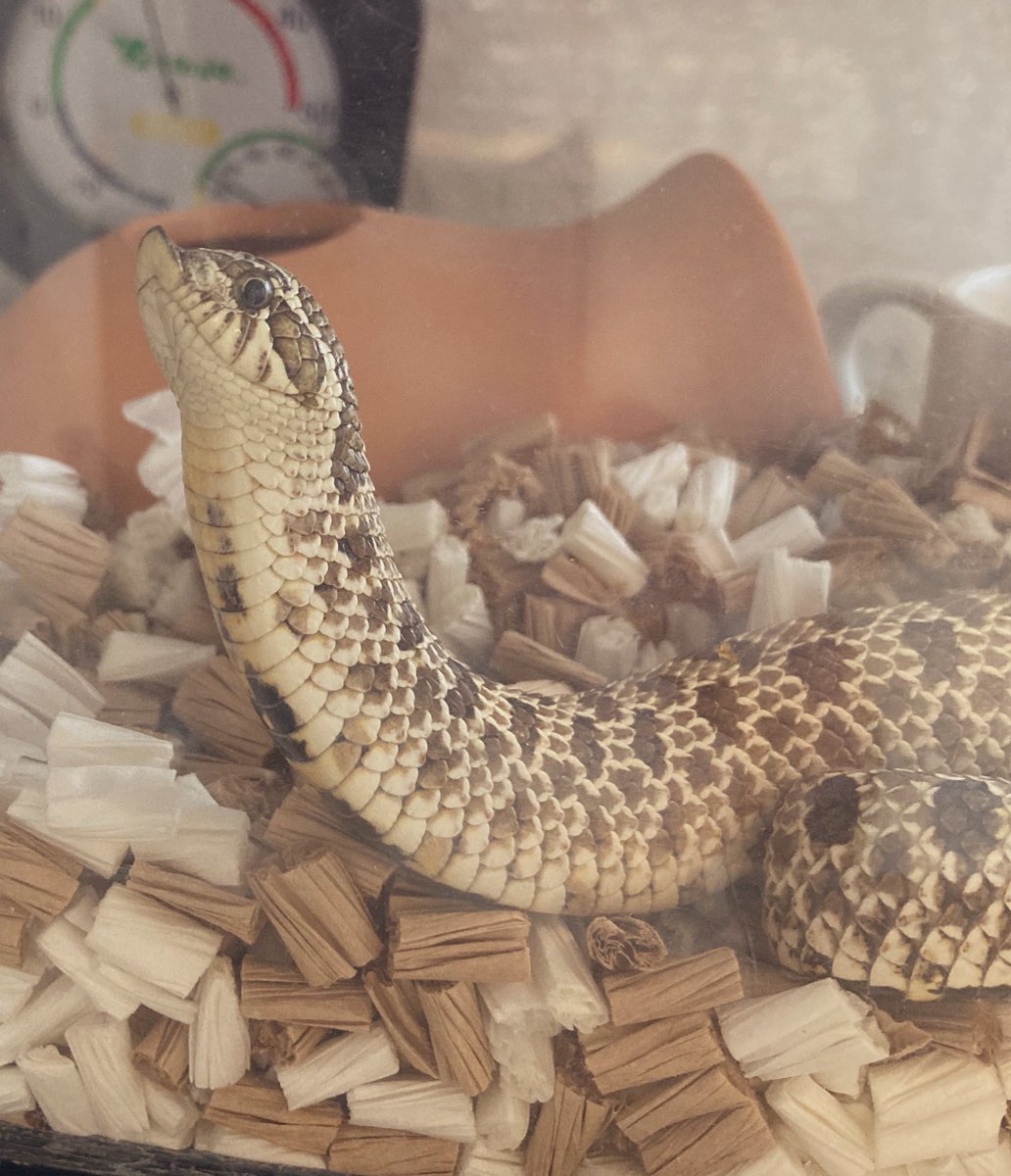 皆様よいお年を🐍✨