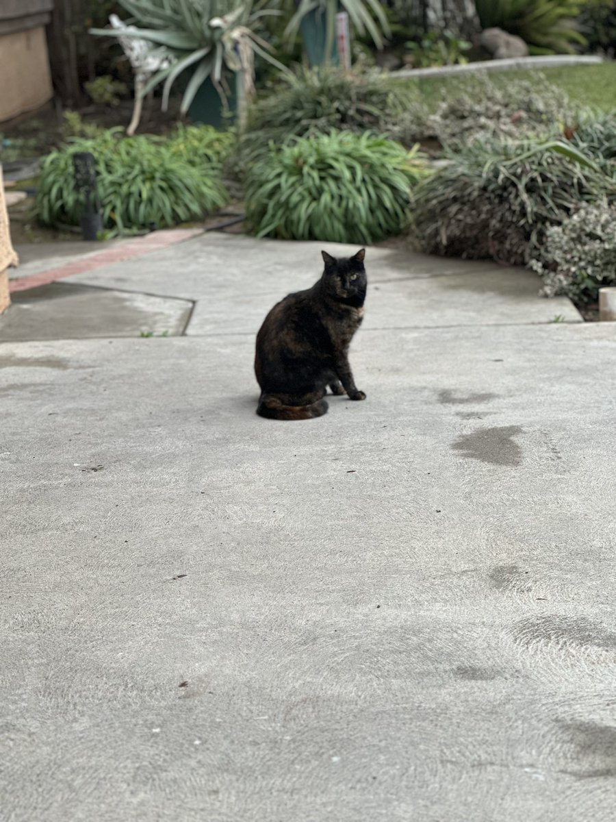 deity bryan tweet media