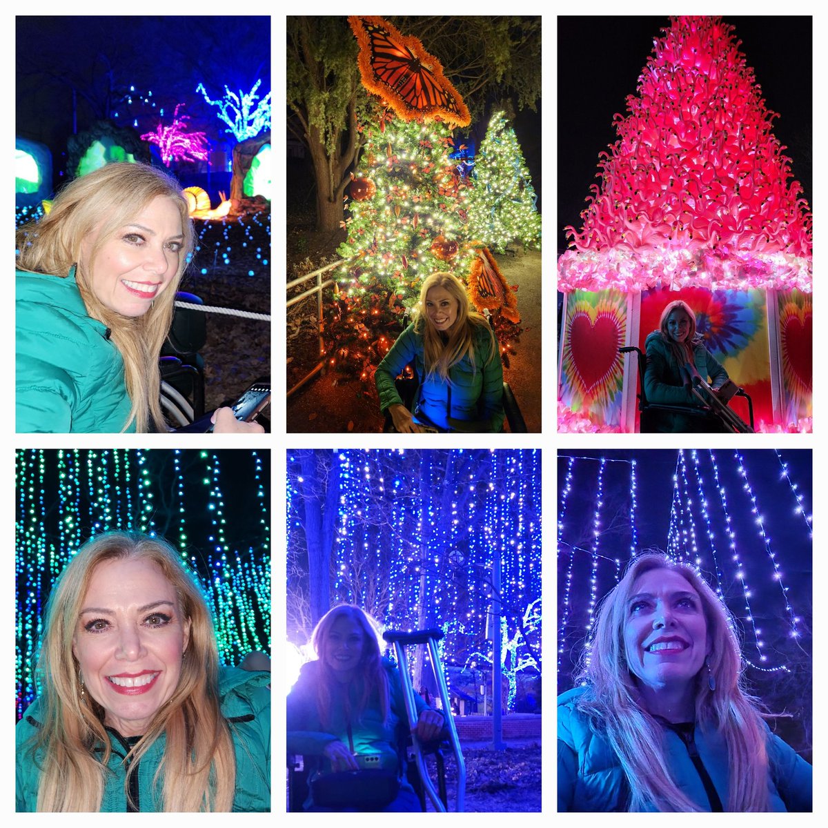 SheilaShowPHL's tweet photo. Spent a beautiful warm Friday night, on New Year's Eve Eve, checking out a million colorful holiday shimmering lights ✨️display, #LumiNature at the @phillyzoo. 🐧🦩❄️🦋
#PhillyZoo https://t.co/JGj57G7cUV