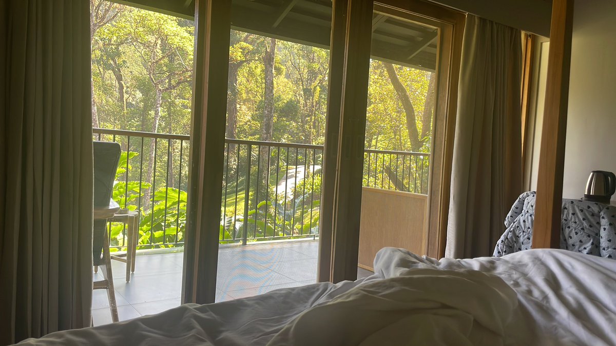 gandabherunda's tweet photo. #Ayatana sojourn. Most amazing views to wake up to..Coorg nature >>> Chkmagaluru TBH https://t.co/lt06fd3RY0