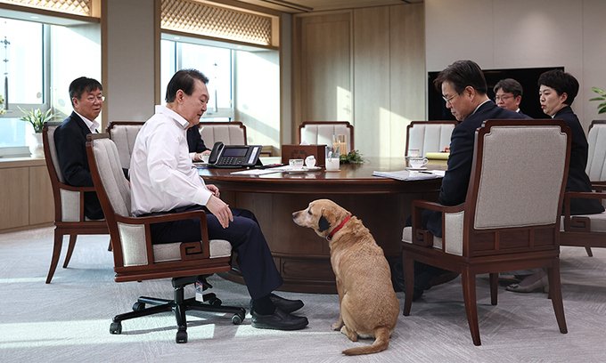 석열이는 셔츠만 입고 있던데 ㅋㅋ