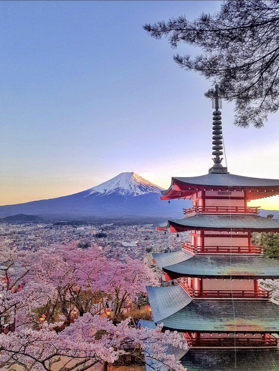 ZANGAKI_'s tweet photo. 🌸🇯🇵🏯 https://t.co/TpstD1YPrQ