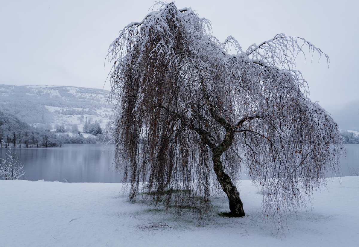 SDRobertson54's tweet photo. This morning we woke up to snow on the banks of Loch Tay at Kenmore. #lochtay #diamondresorts @visitscotland https://t.co/foOzpE5Axg