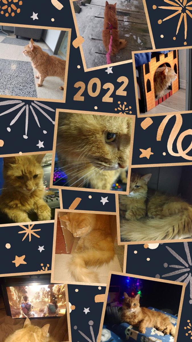 cheeseballcatto's tweet photo. I have  had an very busy year it looks like! https://t.co/ruAUtt1NFB