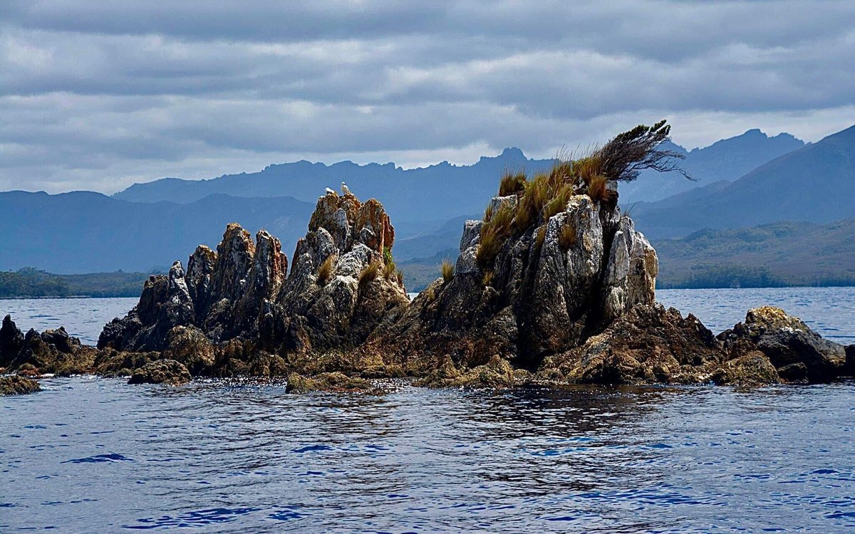 Guide Peter just returned from Southwest Tasmania on our 3 day / 2 night experience and took these great photos! Happy new years everyone