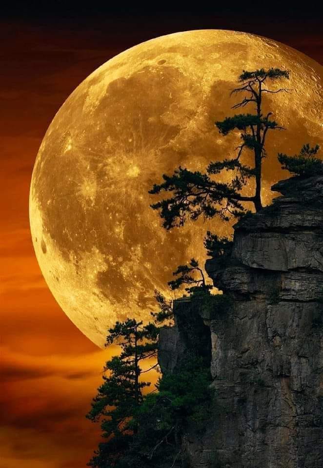 El Chubbinho On Twitter RT MAstronomers Miraculous Full Moon Photo 