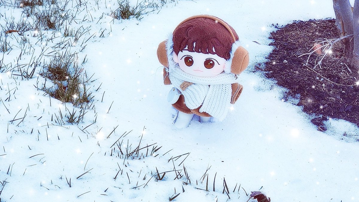 쮸냐의 첫눈맞이🌨🤍

태어나서 난생처음 눈을 보게 된 쮸냐😆🌨

몹시 추운 날씨 때문에 귀마개와 어그부츠 그리고 미야가 챙겨준 목도리까지 완전 중무장을 하고 집을 나선 쮸냐랍니다💨❄

소복소복 눈 밟는 소리가 너무 신기하다며 눈사람 친구와 노느라 집에 들어올 생각을 안하는 쮸냐에요🤣