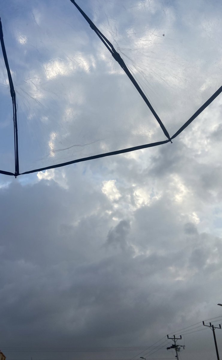 6illin's tweet image. nice day✨