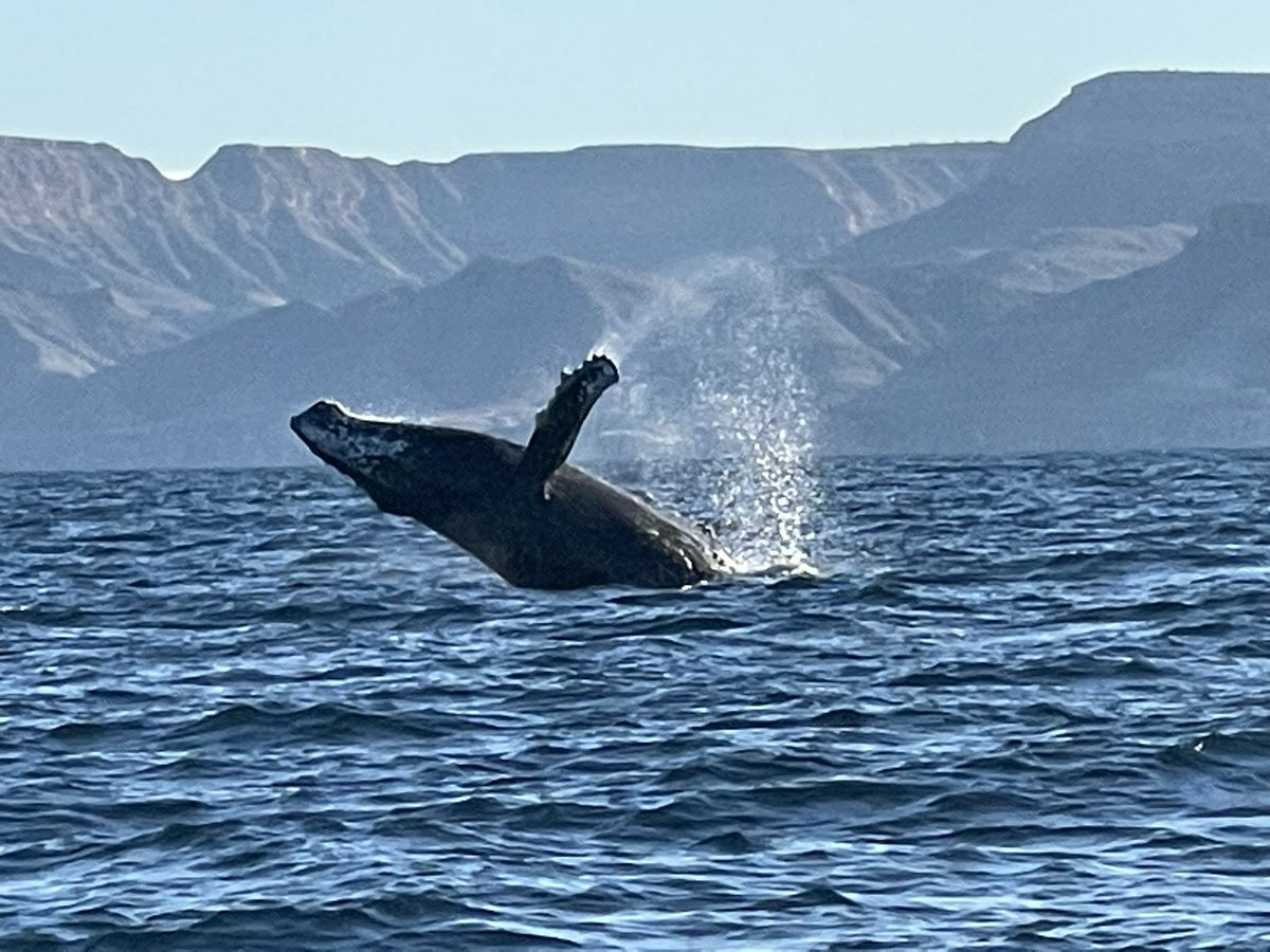 Musings of the Day, 12/30/22:

The question I have for ChatGPT is whether it can suggest a vacation...