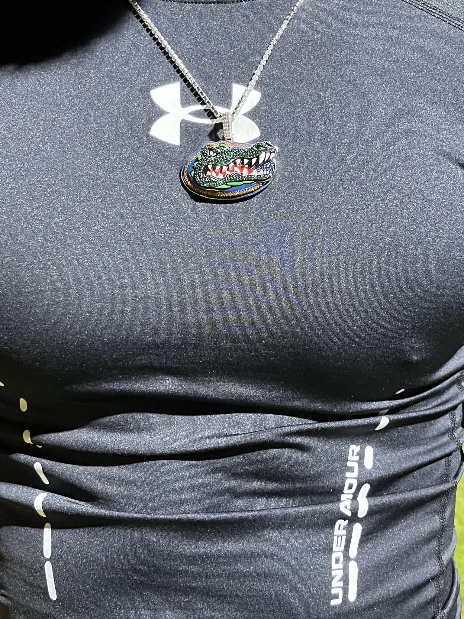 Under sale armour necklace