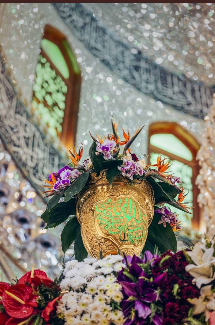 venzaAzfar5's tweet photo. Are you Shia ✨ https://t.co/EhpBizt6Ql