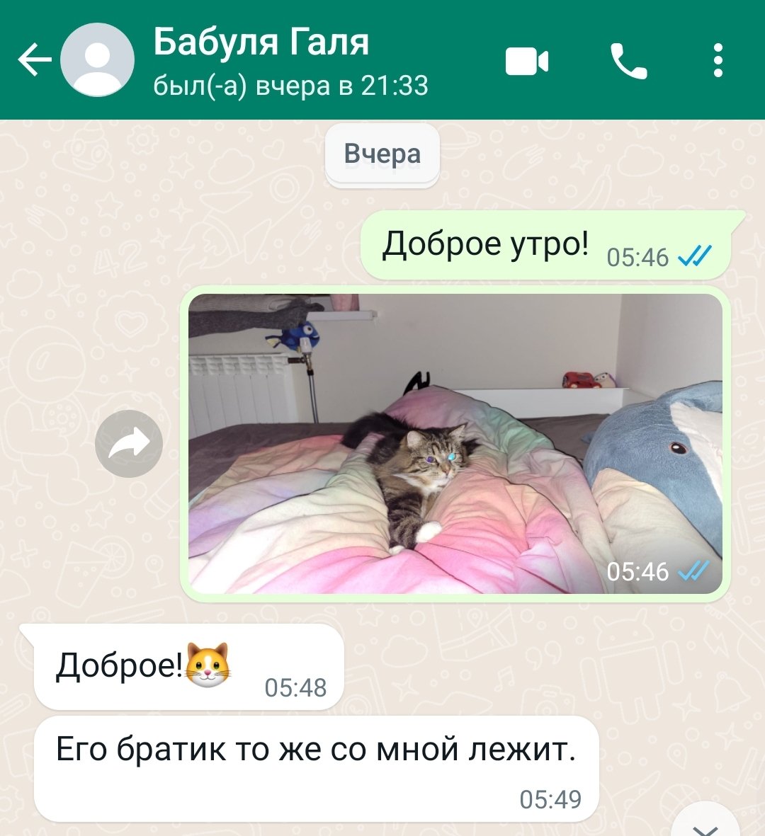 4 утра
Из-за температуры не могу уснуть
Смотреть ролики/фильмы не могу, болят глаза
Хочется с кем-то просто поговорить
Потому что очень скучно просто сидеть
Бабушка проснётся через час
Жду её, мою спасительницу