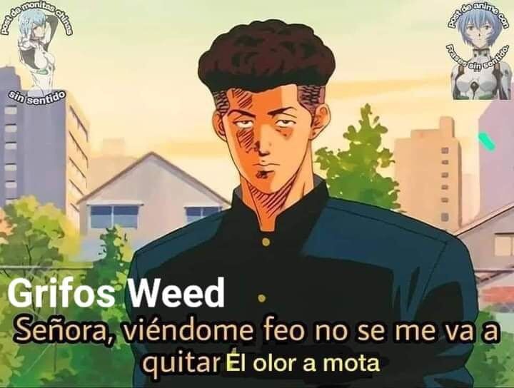 Poctli_mx's tweet photo. Pinche doña
#grifoesamor #cannabislegal #tolucannabis420 #mota #marihuana #420mexico #weed🍁 #marihuanalegal #cannabis #legaliza #CannabisMedicinal #Toluca #tolucannabis #420Toluca #thc #cbd #porros #cheetos #resses #edibles #preroll #porros #prerrolados #FelizSabado #Sabadosad https://t.co/HH9oB1IBLt