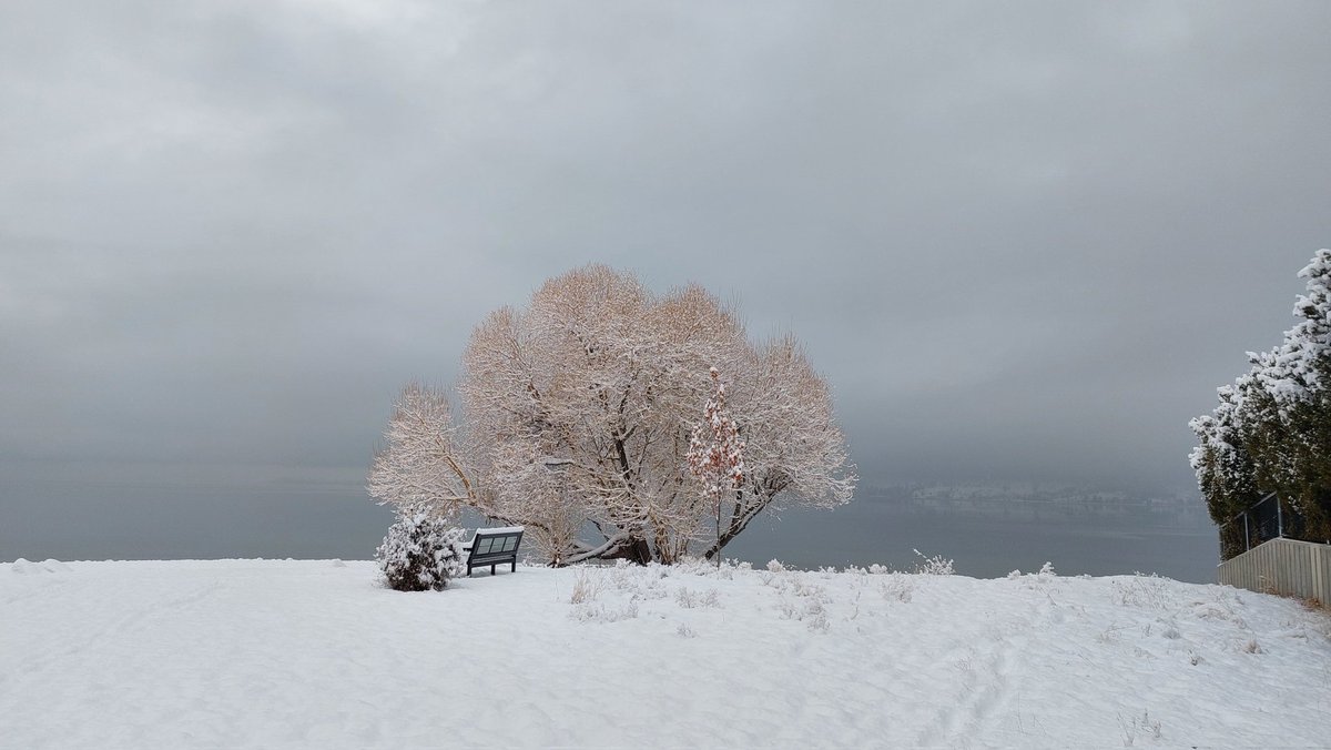 The Okanagan is just as beautiful in the winter as it is in the summer. 

#okanagan #beautiful