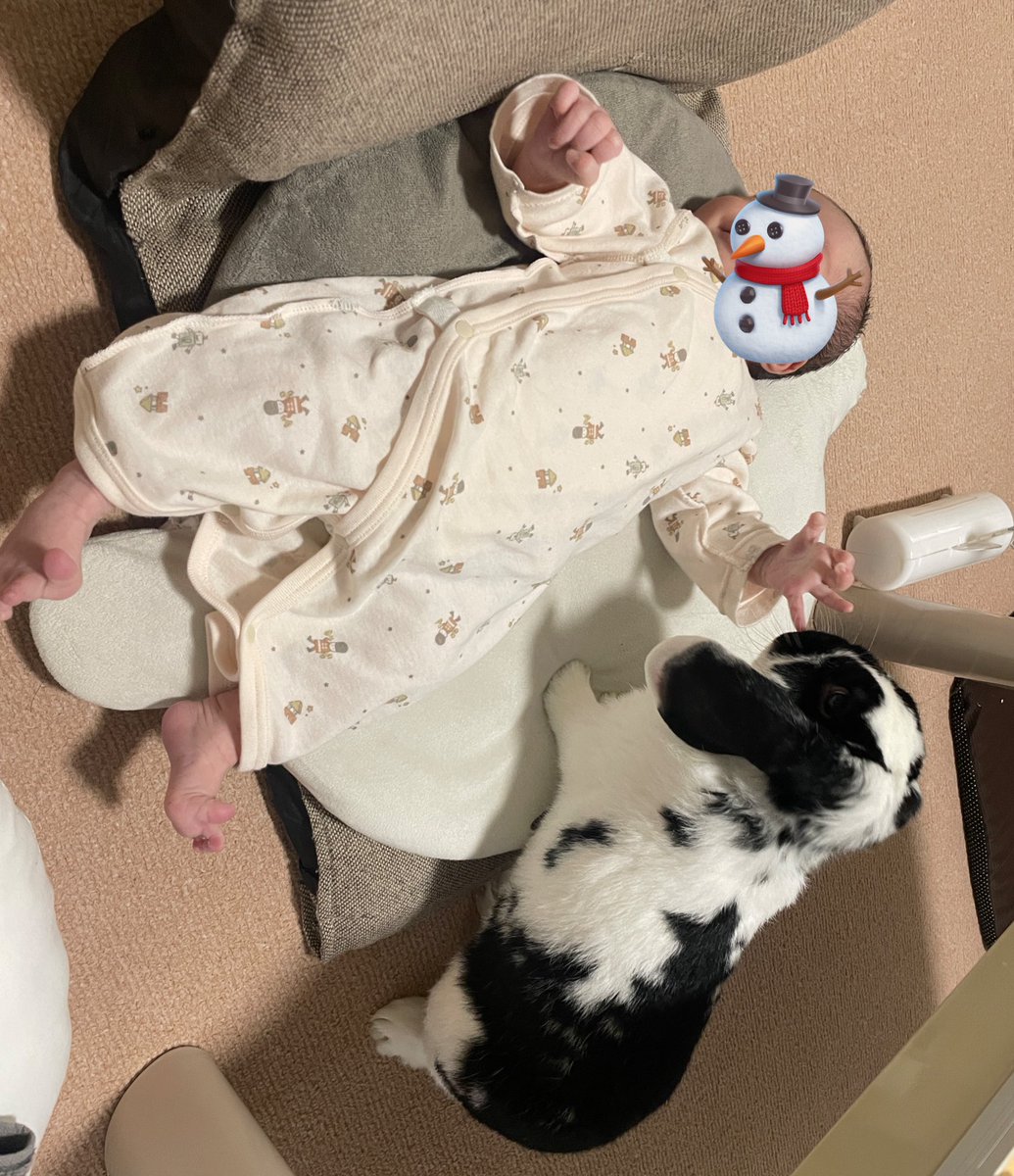happyrabbittlun's tweet photo. ｼﾞｯ……( .. ) https://t.co/Dw0bl3hn5E