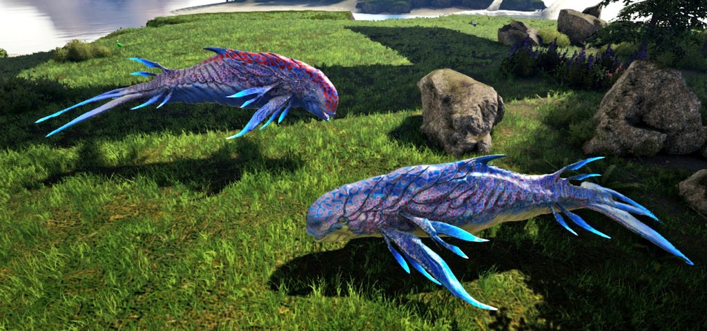 DBlast77's tweet photo. @HandsomeMatt1 @Time4thatgaming The prettiest things! ❤
#AscensionCluster
#dolphinman https://t.co/T2200t1APR