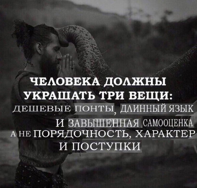 dumeoli tweet media