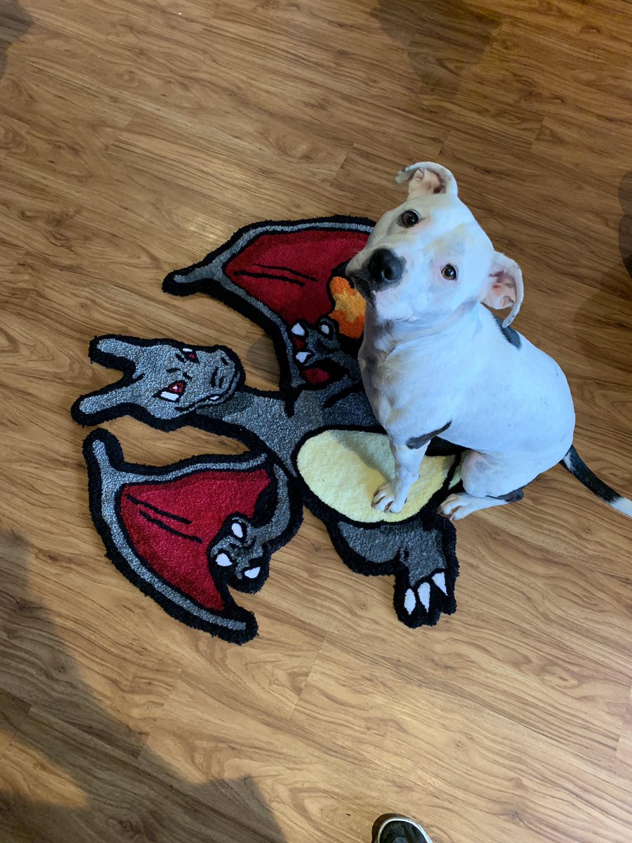 TuftOFF's tweet image. Love seeing my rugs in their new homes 😊😊 

#customrug #tuft #shinycharizard  #charizard  #tufting #pokemon #puppy