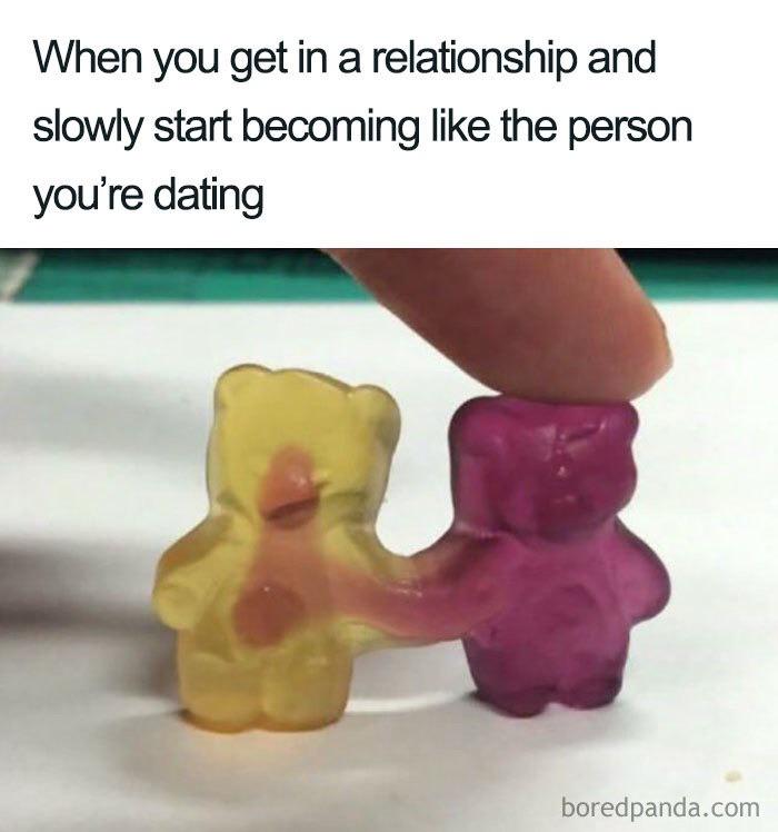 WholesomeMeme's tweet photo. https://t.co/remjVmOf1Q