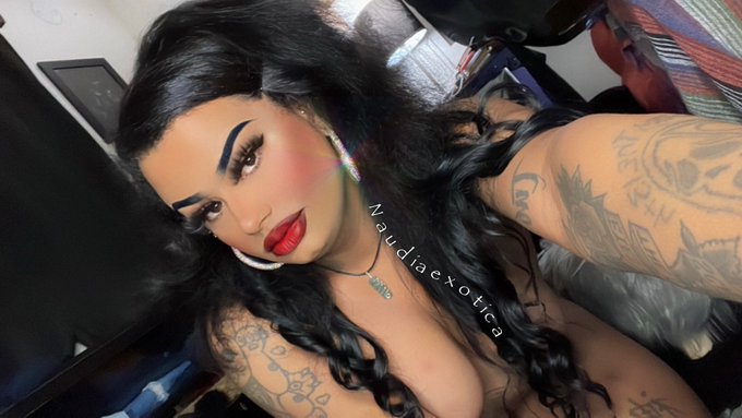 A woman of an EXTRAORDINARY caliber 🌠⚜️ #transgender #trans #transwomen #lgbt #lgbtq #beauty #model #naudiaexotica<a href="/tag/transgender"class="tags">#transgender</a><a href="/tag/model"class="tags"><span>#model</span></a><a href="/tag/lgbt"class="tags"><span>#lgbt</span></a><a href="/tag/beauty"class="tags"><span>#beauty</span></a><a href="/tag/style"class="tags"><span>#style</span></a><a href="/tag/quotes"class="tags"><span>#quotes</span></a><a href="/tag/quoteoftheday"class="tags"><span>#quoteoftheday</span></a>