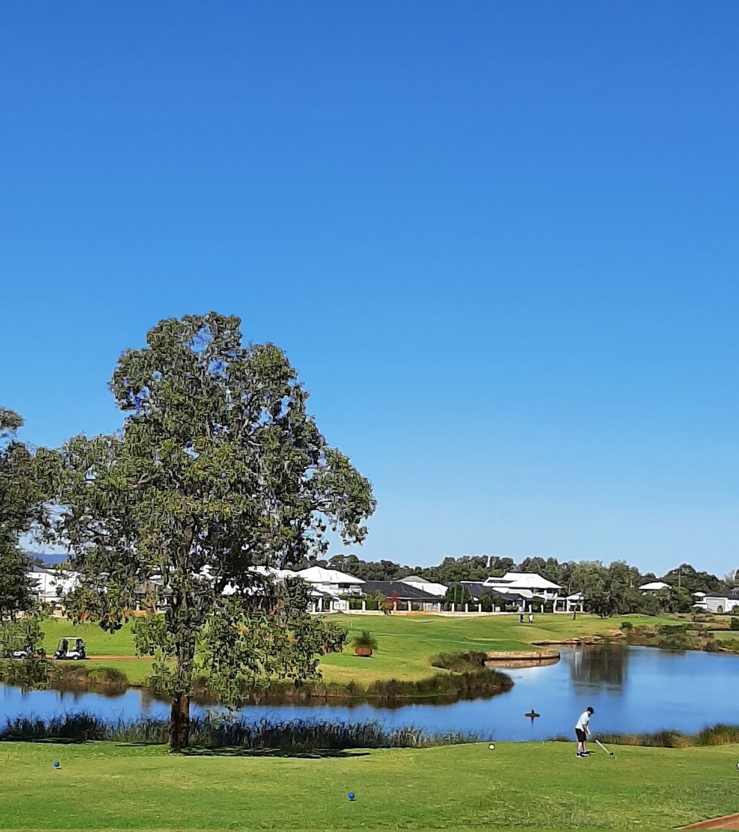 VinesRA's tweet photo. Want to play golf here in 2023? You had better hurry up because, if the owners of The Vines Resort get their way, a large chunk this beautiful golf course will soon be covered by concrete.
#savethevinesgolfcourse #savethevines #savethetrees @AussieGolfer @GolfAustMag @GolfDigest https://t.co/JaDwRX4tQF