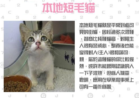 BitchSissySlave's tweet photo. 2022最後一天冒泡一下:
忙碌的2022終於要過去了,雖然接著的2023只會更忙,但這回薇蒂也會"為自己忙碌"了

另外小小抒發此刻心情:
『有主人的感覺真好~~』

2013年1月的心理小測驗,時隔近十年終於實現 https://t.co/xSEmGhLCMY