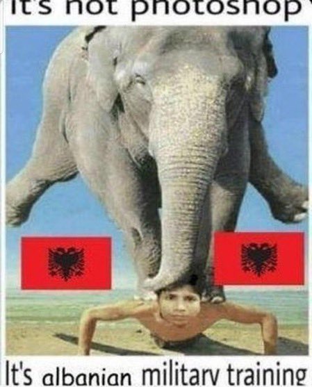 SavSaverRL's tweet photo. ALBANIA #1 💪💪🇦🇱🇦🇱 https://t.co/FfA9eFDVAH