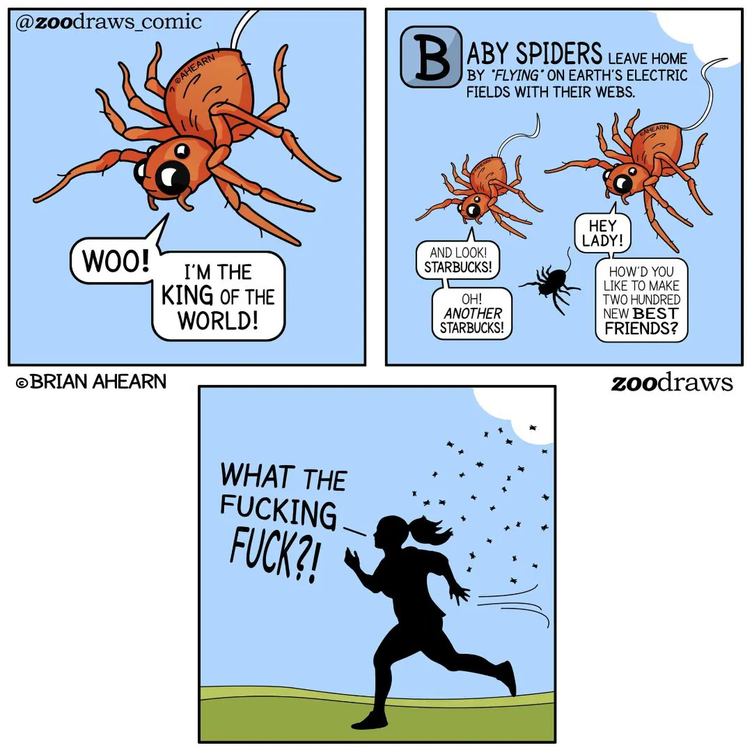 Zoodraws's tweet photo. ✨️Next in 2022's Top 5 comic countdown is 'Two Starbucks!'🕷❤️ Ballooning, also called "kiting", is reason #24601 that spiders are AWESOME⤵️ #babyspider #jumpingspider #spiderlife #spiderling #ballooning #aracnidos #reconnectwithnature #entomologyart https://t.co/XWnEtXHotm