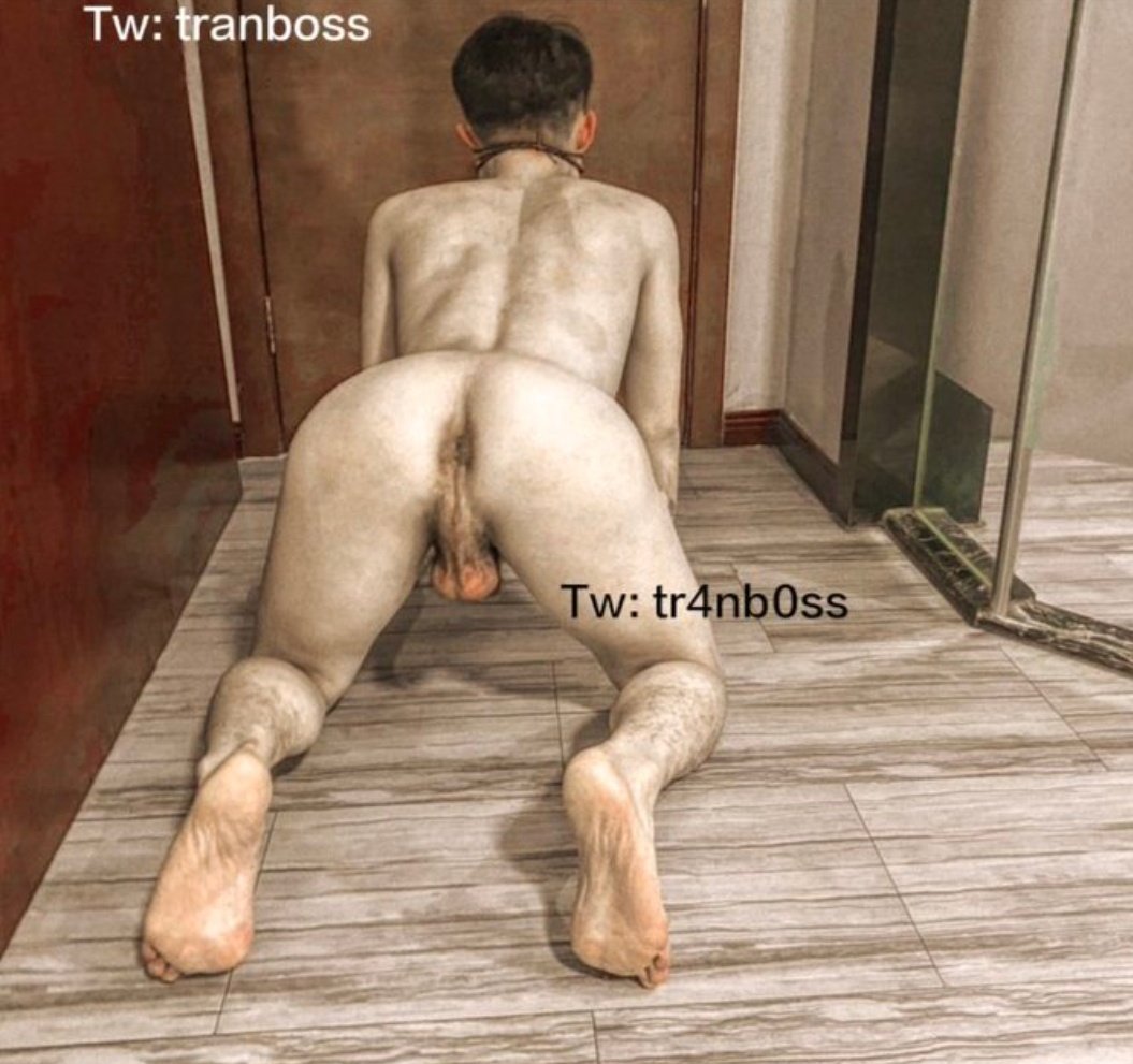 tw:tr4nb0ss tweet media